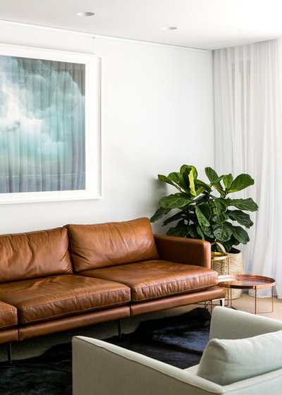 Contemporary  by C+M Studio