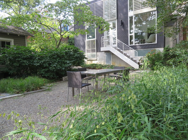 Contemporary Patio by Carex:  Garden Design by Carolyn Mullet