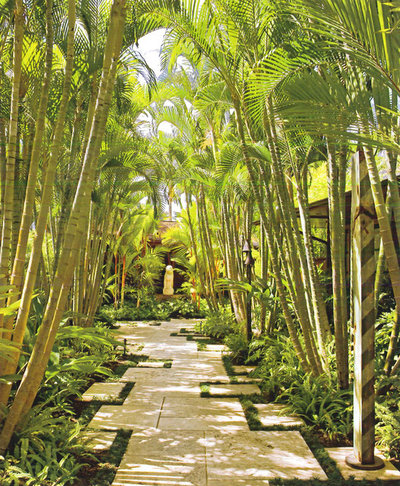 Tropical Landscape by VITA Planning and Landscape Architecture