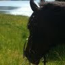 L Manning's photo