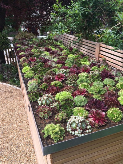 Garden Shed and Building by Kate Eyre Garden Design
