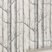 Woods Wallpaper