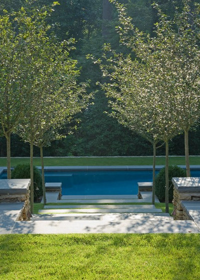 Traditional Pool by Golightly Landscape Architecture