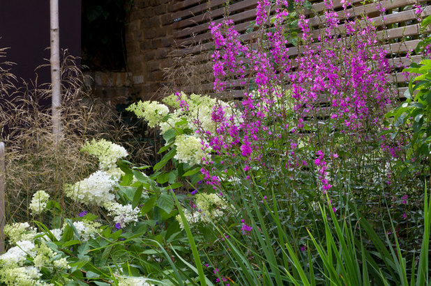 Contemporary Garden by John Davies Landscape