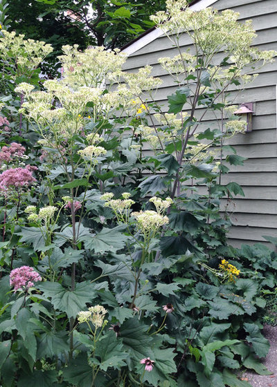 Landscape by Holm Design & Consulting LLC