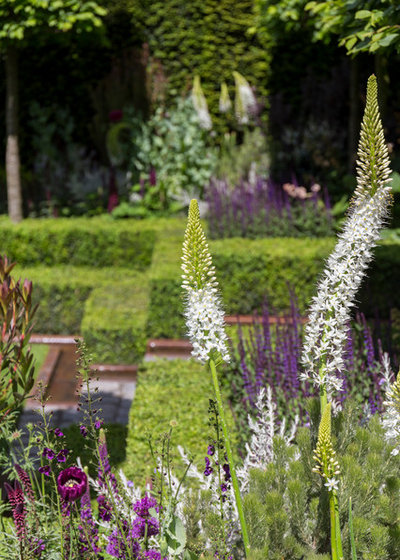 Garden by Chris Snook