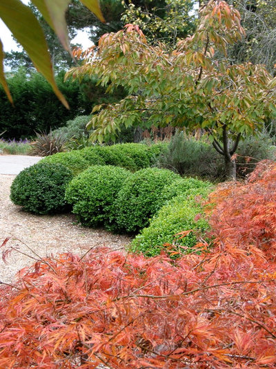 Eclectic Landscape by Arthur Lathouris Garden Designer