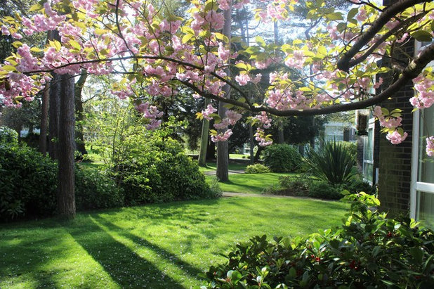 Contemporary Garden by Templemere Residents Society
