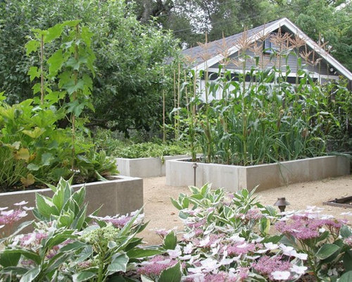 Concrete Raised Beds Home Design Ideas, Pictures, Remodel and Decor