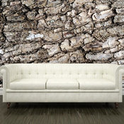 Tree Bark Texture Wall Mural