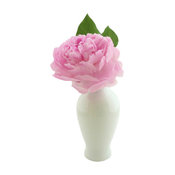 Traditional Mini Vase, White