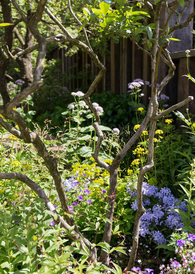 Contemporary Garden by Chris Snook
