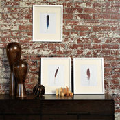 Scott Lifshutz Feather Wall Art