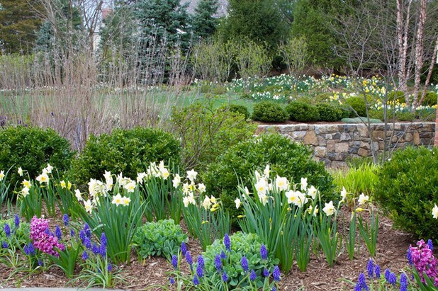 Traditional Garden by The Todd Group