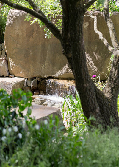 Contemporary Garden by Chris Snook