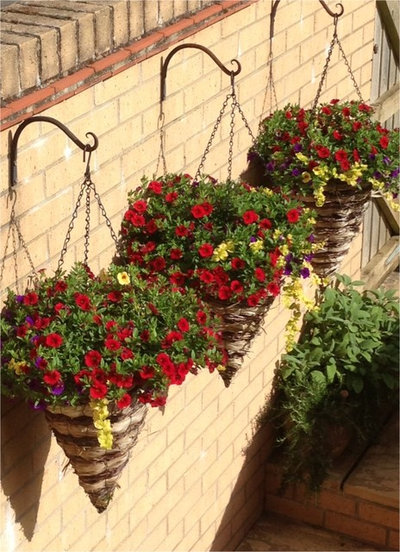 Traditional Landscape Hanging Cones