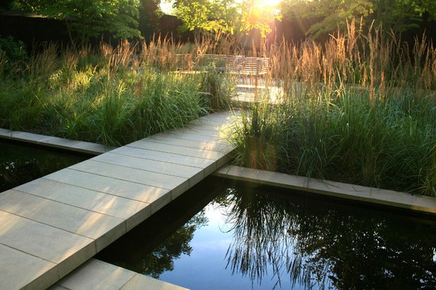 Contemporary Garden by Annie Pearce
