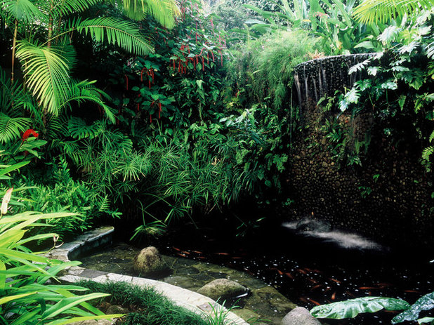 Tropical Pool by Raymond Jungles, Inc.