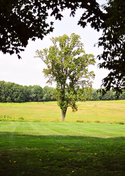 Traditional Landscape by Amy Renea