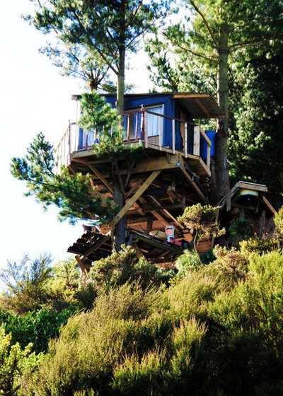 Rustic  by Jono Williams