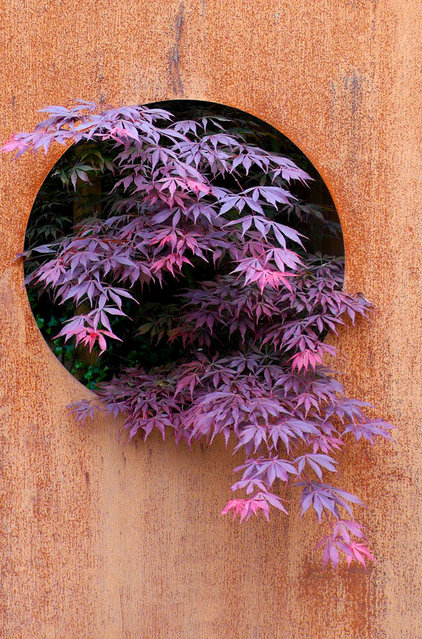 ����������� �������� by London Garden Designer
