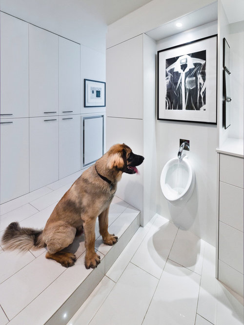 Urinal Home Design Ideas, Pictures, Remodel and Decor