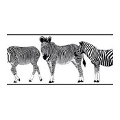 Zebra Border