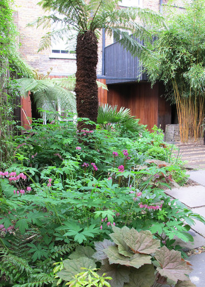 Tropical  by Fenton Roberts Garden Design