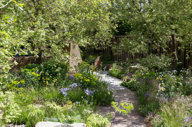 Contemporary Garden by Chris Snook