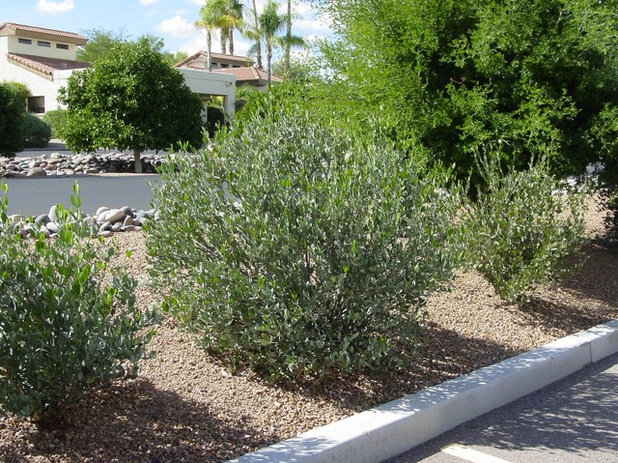 by Noelle Johnson Landscape Consulting