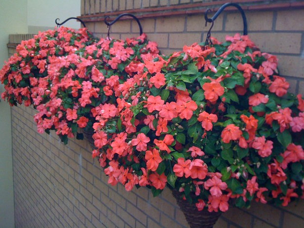 Traditional Landscape Hanging Cones