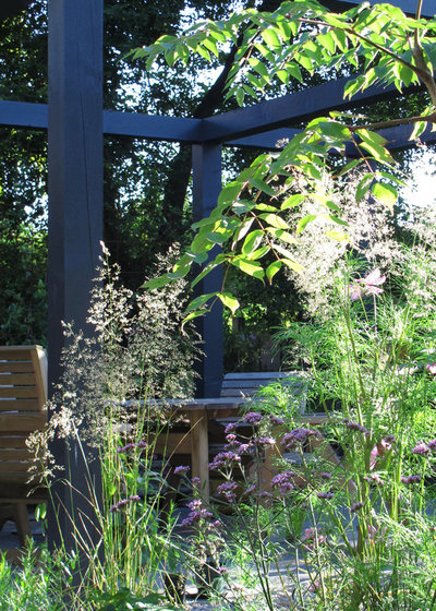 Contemporary Patio by Fenton Roberts Garden Design