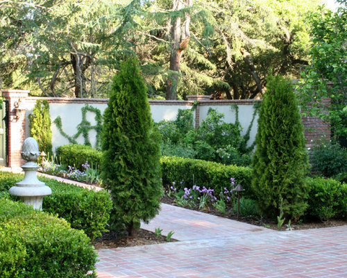 Skyrocket Juniper Landscape Design Ideas, Remodels & Photos