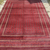 Big Stunning Khoja Roshnai Rug by Nomad Carpets