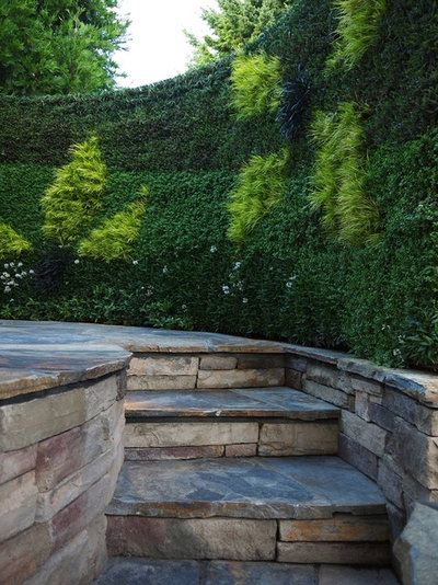 Contemporary Patio by Bright Green