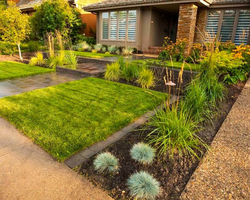 Modern Front Yards Home Design Ideas, Pictures, Remodel and Decor