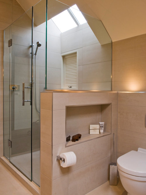Auckland Bathroom Design Ideas, Renovations amp; Photos with Flatpanel 