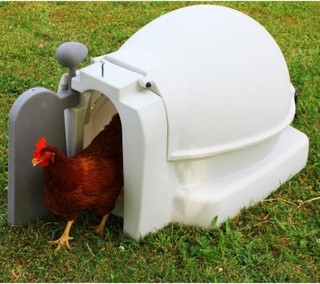 Good Ideas Quad Chicken Coop - Modern - Watering And Irrigation