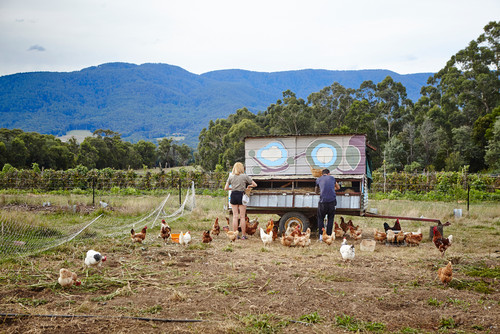 Tiny Houzz Tour: Living the Good Life on a Small Scale