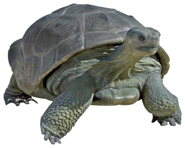outdoor tortoise statue