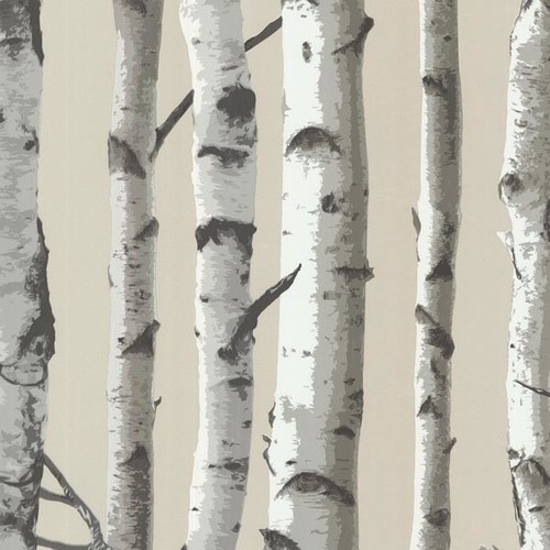 Irvin Birch Tree Wallpaper, Gray, Bolt