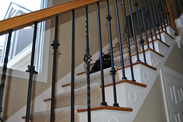 Wrought Iron Balusters  Traditional  Staircase  charlotte  by Sterling Construction, Inc.