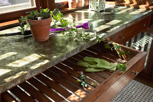 Morningside bungalow