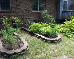 8 Materials for Raised Garden Beds