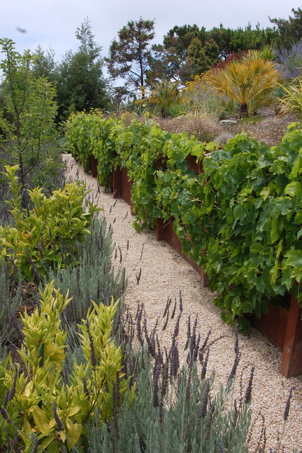 bay area hillside garden mediterranean san francisco bay area hillside garden mediterranean san francisco