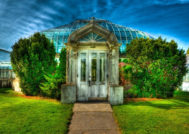 Greenhouse Wall Mural - Contemporary - Wallpaper