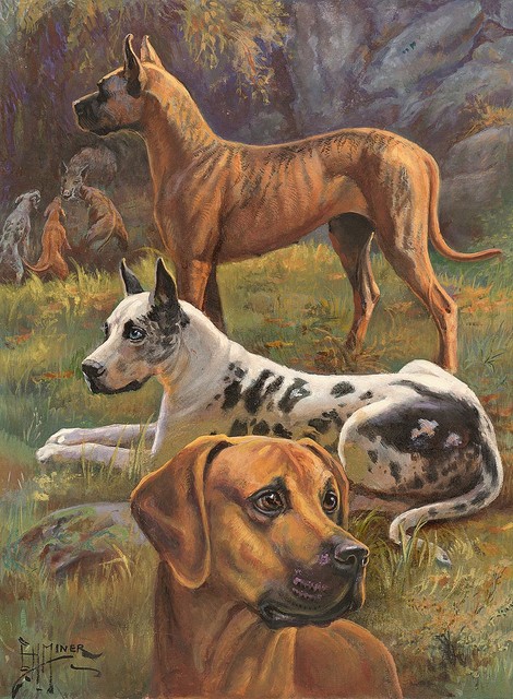 Great Danes Wallpaper Wall Mural - Self-Adhesive - Multiple Sizes