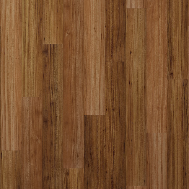 blackbutt blackbutt