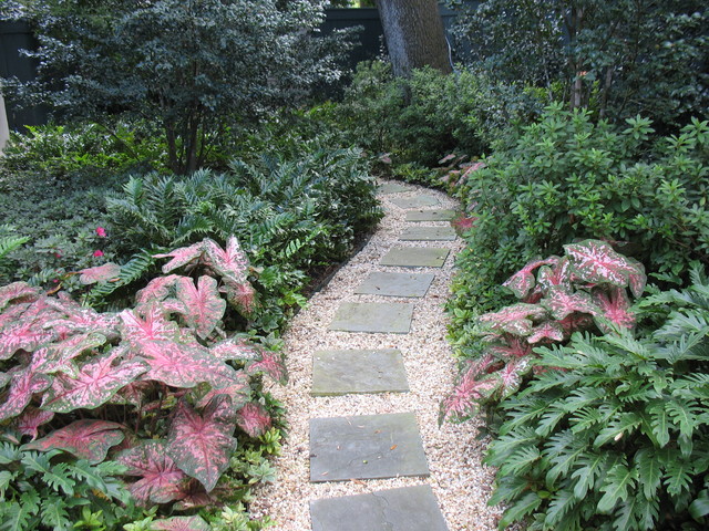 Private gardens in New Orleans