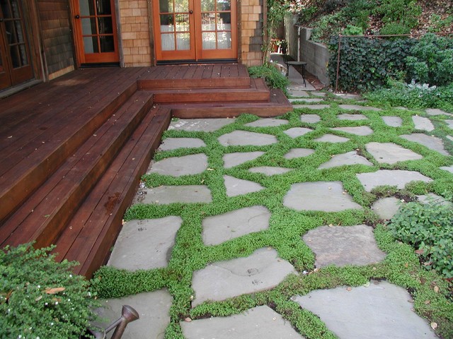 Dry Laid Bluestone Patio with Groundcover - Traditional - Patio - san ...